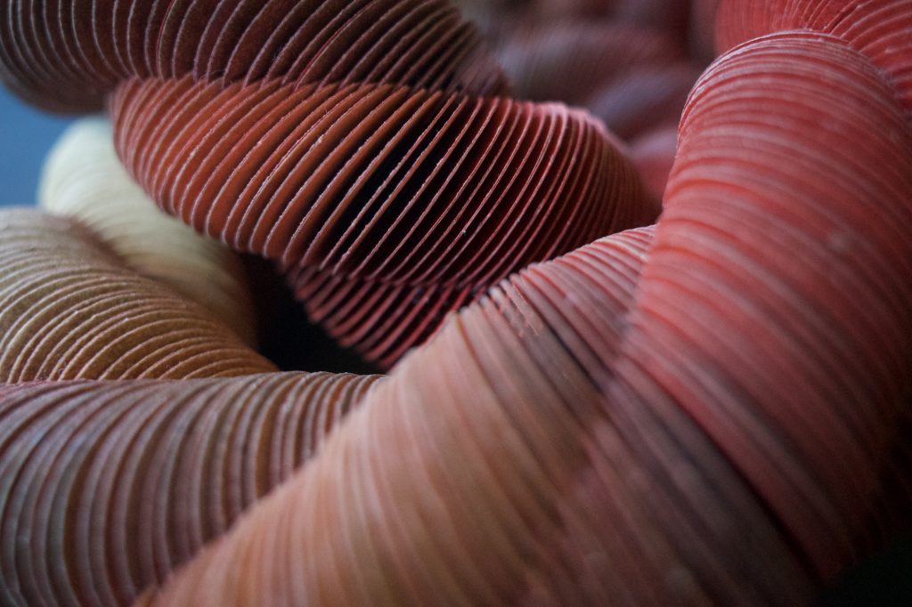 Nel-Linssen-Paperbracelet-closeup1